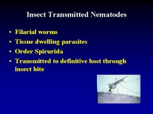 Insect Transmitted Nematodes Filarial worms Tissue dwelling parasites