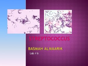 STREPTOCOCCUS BASMAH ALMAARIK Lab 6 All are Gram