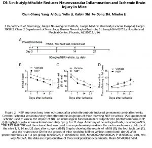 Dl3 nbutylphthalide Reduces Neurovascular Inflammation and Ischemic Brain