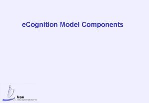 e Cognition Model Components Model Components Variables and