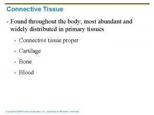 Connective Tissue Found throughout the body most abundant