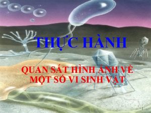 THC HNH QUAN ST HNH NH V MT