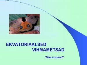 EKVATORIAALSED VIHMAMETSAD Maa kopsud ASEND KAARDIL SELVA Ekvatoriaalsed