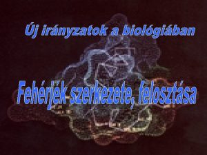 Funkcija enzimek specifikus reakcik sebessgszablyz kataliztorai hormonok testi