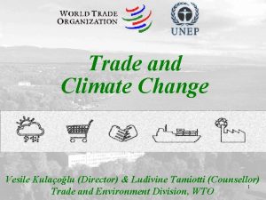 Trade and Climate Change Vesile Kulaolu Director Ludivine