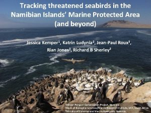 Tracking threatened seabirds in the Namibian Islands Marine