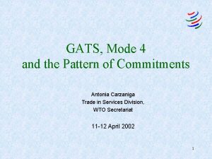 GATS Mode 4 and the Pattern of Commitments