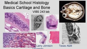 Medical School Histology Basics Cartilage and Bone VIBS