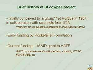 Brief History of Bt cowpea project Initially conceived