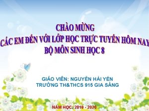 GIO VIN NGUYN HI YN TRNG THTHCS 915