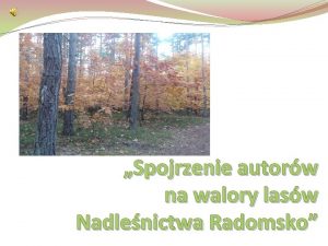 Spojrzenie autorw na walory lasw Nadlenictwa Radomsko Nadlenictwo