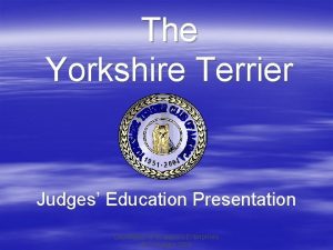 The Yorkshire Terrier Judges Education Presentation Developed by