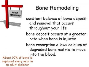 Bone Remodeling constant balance of bone deposit and