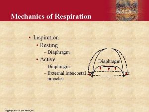 Mechanics of Respiration Inspiration Resting Diaphragm Active Diaphragm