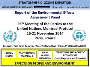 STRATOSPHERIC OZONE DEPLETION OZONE DEPLETING SUBSTANCES Climate effects