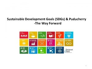 Sustainable Development Goals SDGs Puducherry The Way Forward