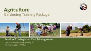 Agriculture Gardening Training Package Session 8 Integrated Pest