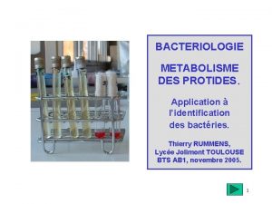 BACTERIOLOGIE METABOLISME DES PROTIDES Application lidentification des bactries