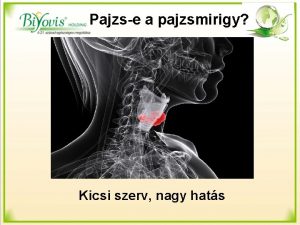 Pajzse a pajzsmirigy Kicsi szerv nagy hats A