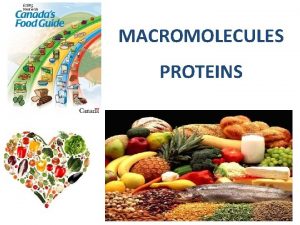 MACROMOLECULES PROTEINS WHAT ARE PROTEINS Proteins are the