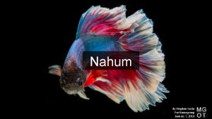 Nahum By Stephen Curto For Homegroup January 7