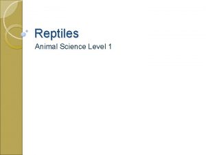 Reptiles Animal Science Level 1 Intro to Reptiles