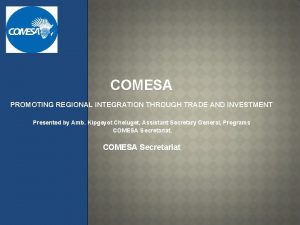 COMESA PROMOTING REGIONAL INTEGRATION THROUGH TRADE AND INVESTMENT
