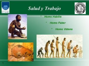 Salud y Trabajo Homo Habilis Homo Faber 1