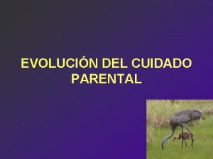 EVOLUCIN DEL CUIDADO PARENTAL CUIDADO PARENTAL El cuidado