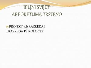 BILJNI SVIJET ARBORETUMA TRSTENO PROJEKT 3 b RAZREDA