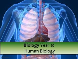 Biology Year 10 Human Biology Year 10 Science