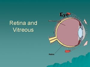 Retina and Vitreous Retina Retina u The innermost