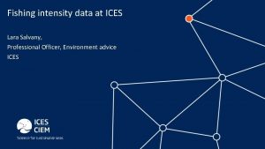 Fishing intensity data at ICES Lara Salvany Professional