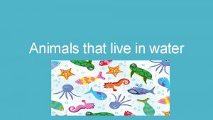 Animals that live in water What animals live