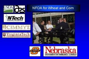 NFOA for Wheat and Corn Yield Potential Yield