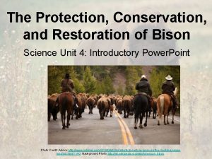 The Protection Conservation and Restoration of Bison Science