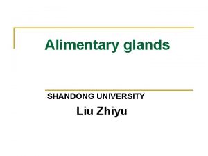 Alimentary glands SHANDONG UNIVERSITY Liu Zhiyu The Liver