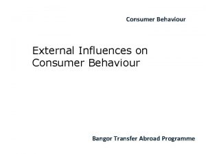 Consumer Behaviour External Influences on Consumer Behaviour Bangor