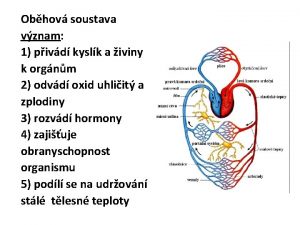 Obhov soustava vznam 1 pivd kyslk a iviny