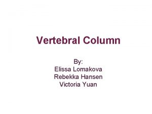 Vertebral Column By Elissa Lomakova Rebekka Hansen Victoria