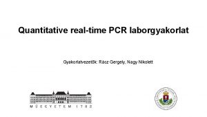 Quantitative realtime PCR laborgyakorlat Gyakorlatvezetk Rcz Gergely Nagy