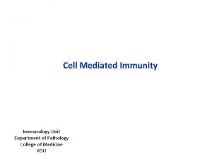 Cell Mediated Immunity Immunology Unit Department of Pathology