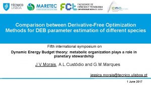 Comparison between DerivativeFree Optimization Methods for DEB parameter