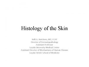 Histology of the Skin Kelli A Hutchens MD