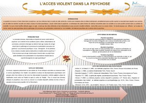 LACCES VIOLENT DANS LA PSYCHOSE Destructivit Symbolisation Paradoxe