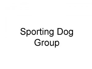 Sporting Dog Group Brittany Spaniel American Cocker Spaniel