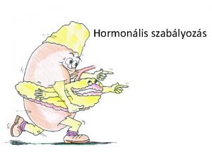 Hormonlis szablyozs Hipotalamuszhipofzis rendszer Agyalapi mirigy Hipotalamusz A