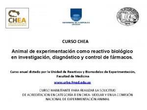 CURSO CHEA Animal de experimentacin como reactivo biolgico