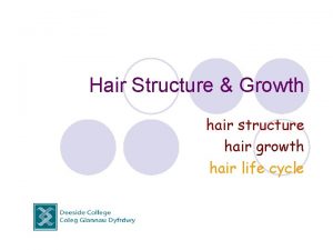 Hair Structure Growth hair structure hair growth hair