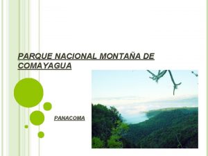 Parque nacional montaña de comayagua